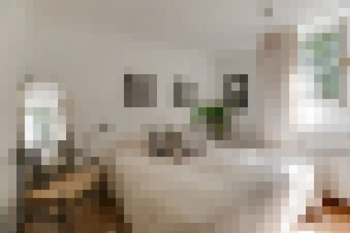 Joh.M. Coenenstraat 48 Amsterdam thumbnail 26