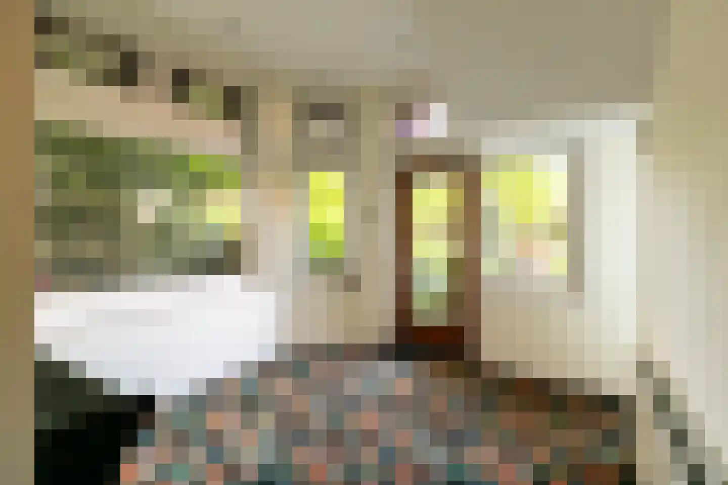 Joh.M. Coenenstraat 48 Amsterdam thumbnail 32