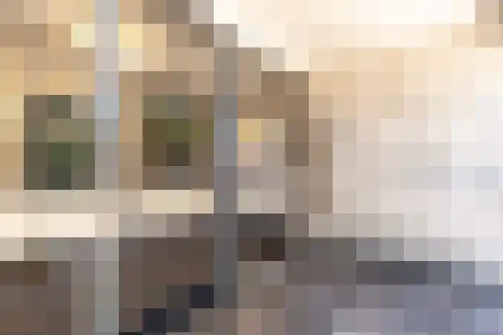 Joh. Poststraat 109 Breukelen thumbnail 16