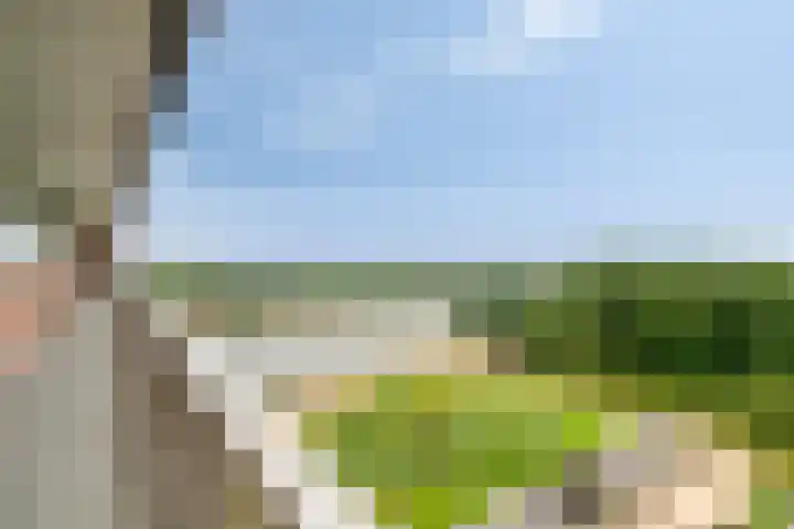 Joh. Poststraat 121 Breukelen thumbnail 25