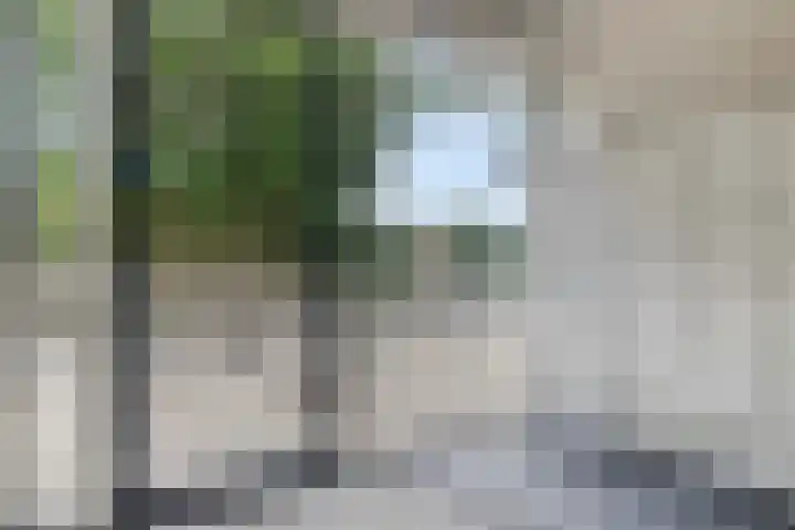 Joh. Poststraat 121 Breukelen thumbnail 6
