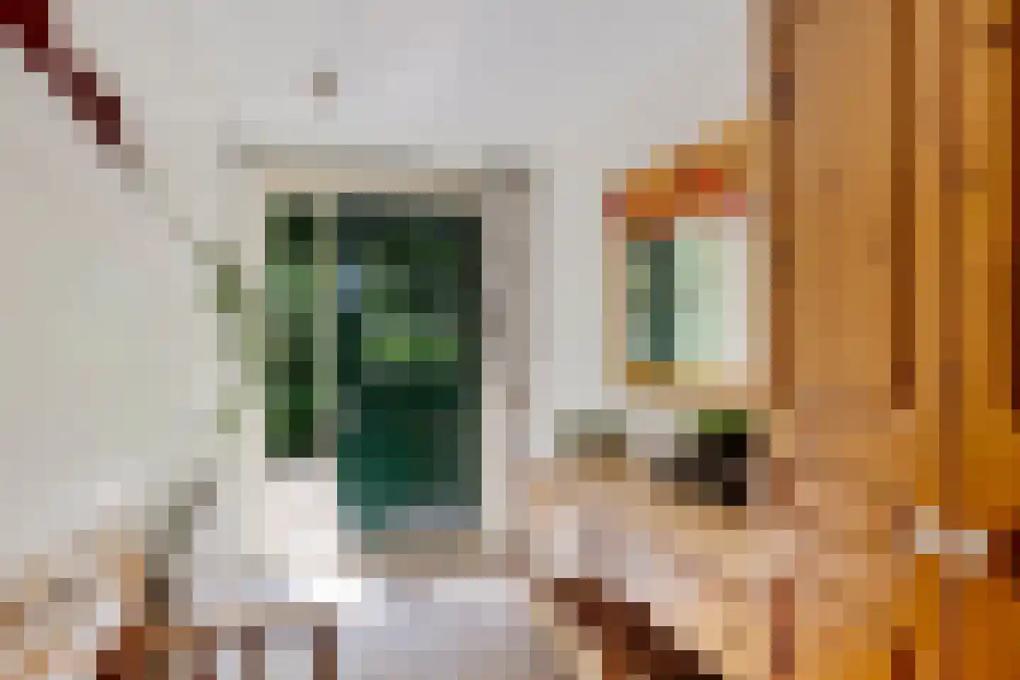 Joh Poststraat 14 Nieuwlande thumbnail 20