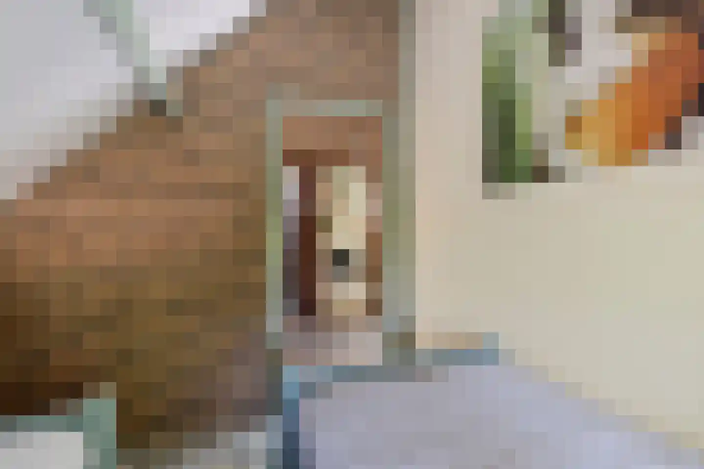 Joh Poststraat 14 Nieuwlande thumbnail 32
