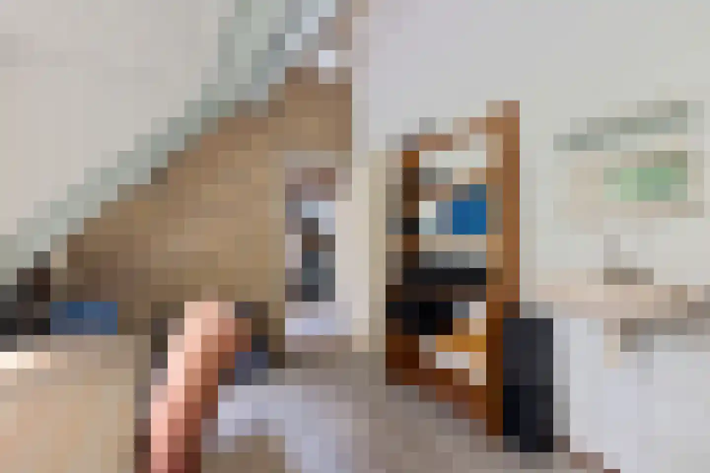 Joh Poststraat 14 Nieuwlande thumbnail 34
