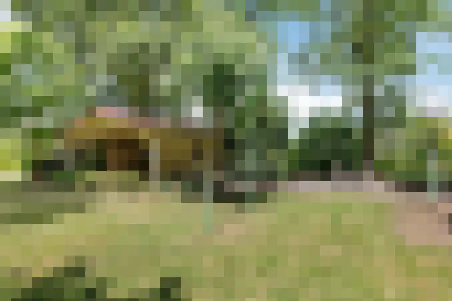 Joh Poststraat 14 Nieuwlande thumbnail 43