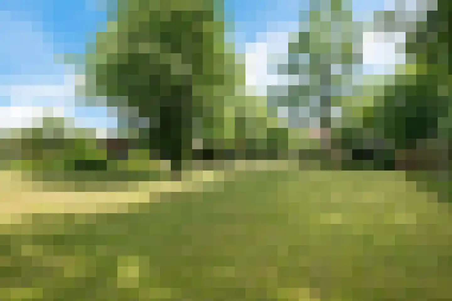 Joh Poststraat 14 Nieuwlande thumbnail 46