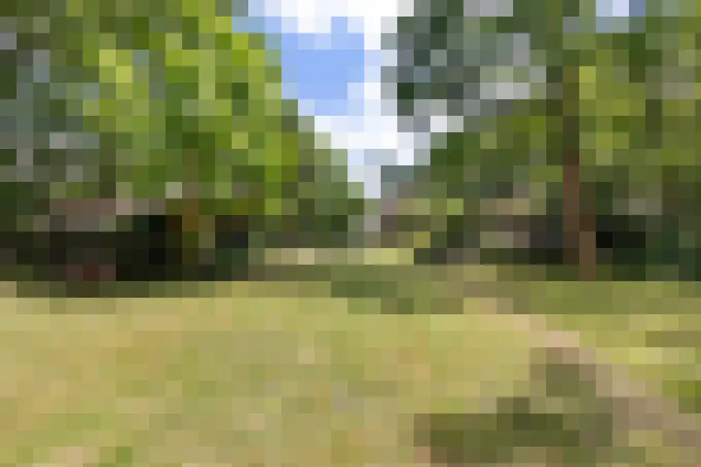 Joh Poststraat 14 Nieuwlande thumbnail 47