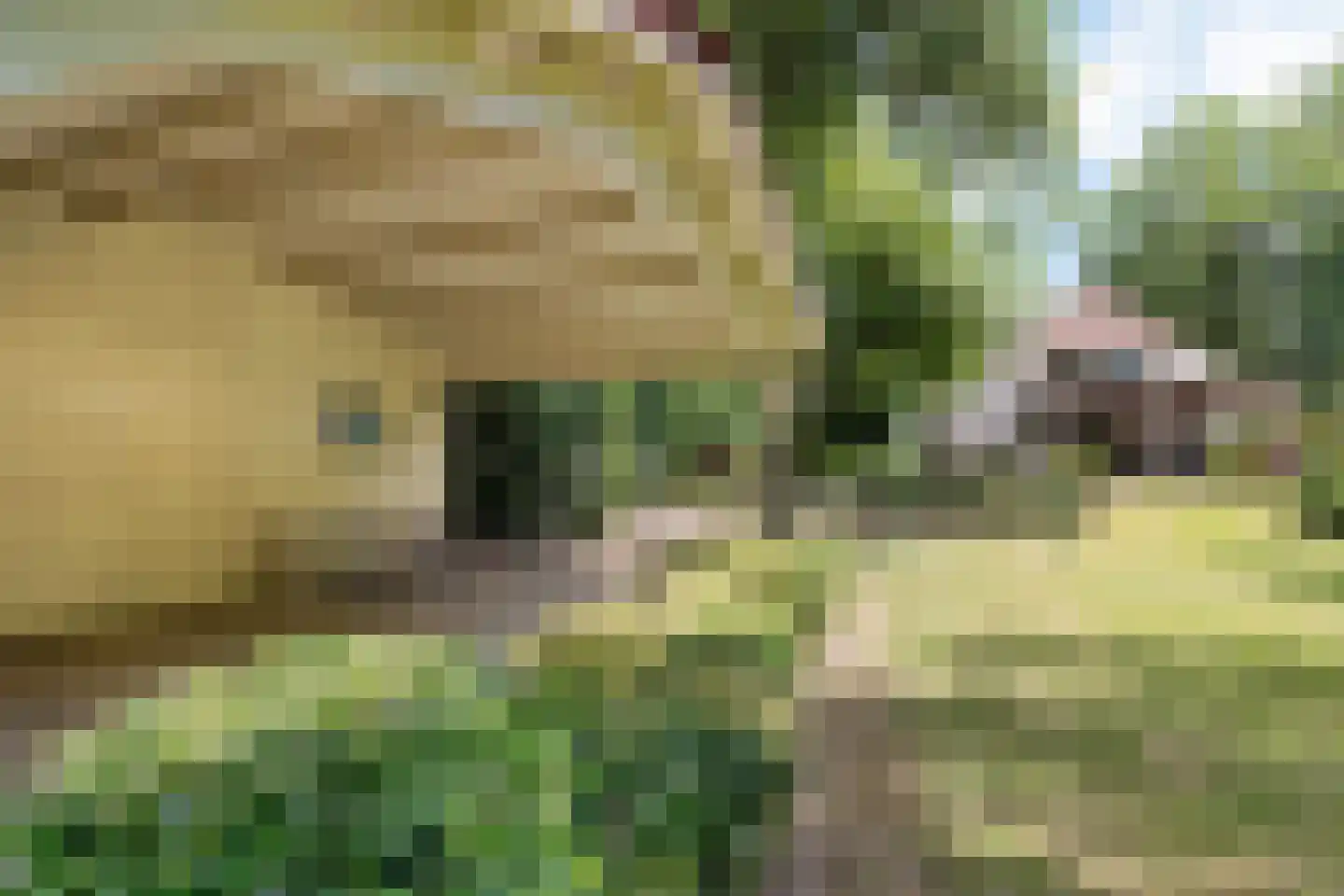 Joh Poststraat 14 Nieuwlande thumbnail 48