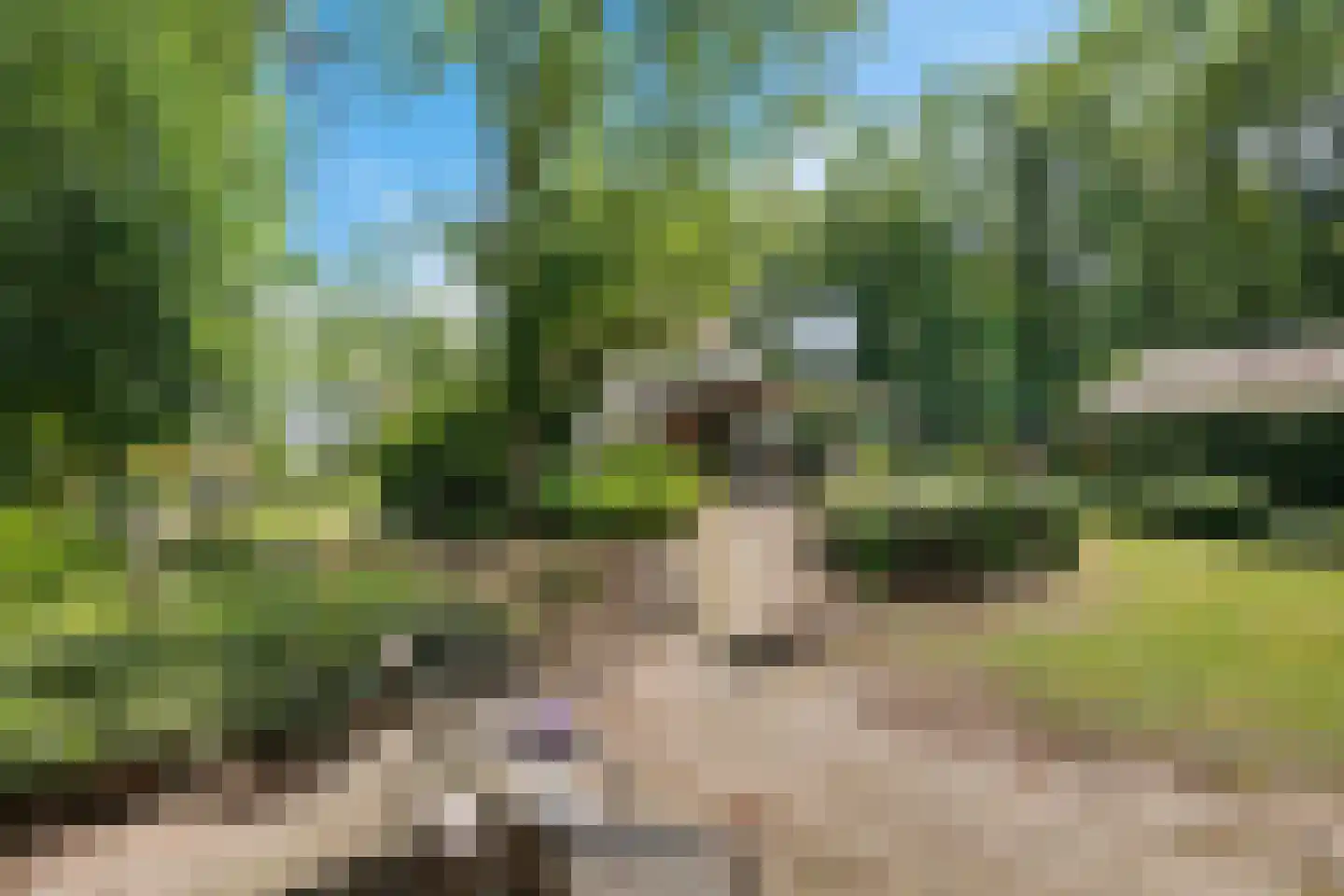Joh Poststraat 14 Nieuwlande thumbnail 49