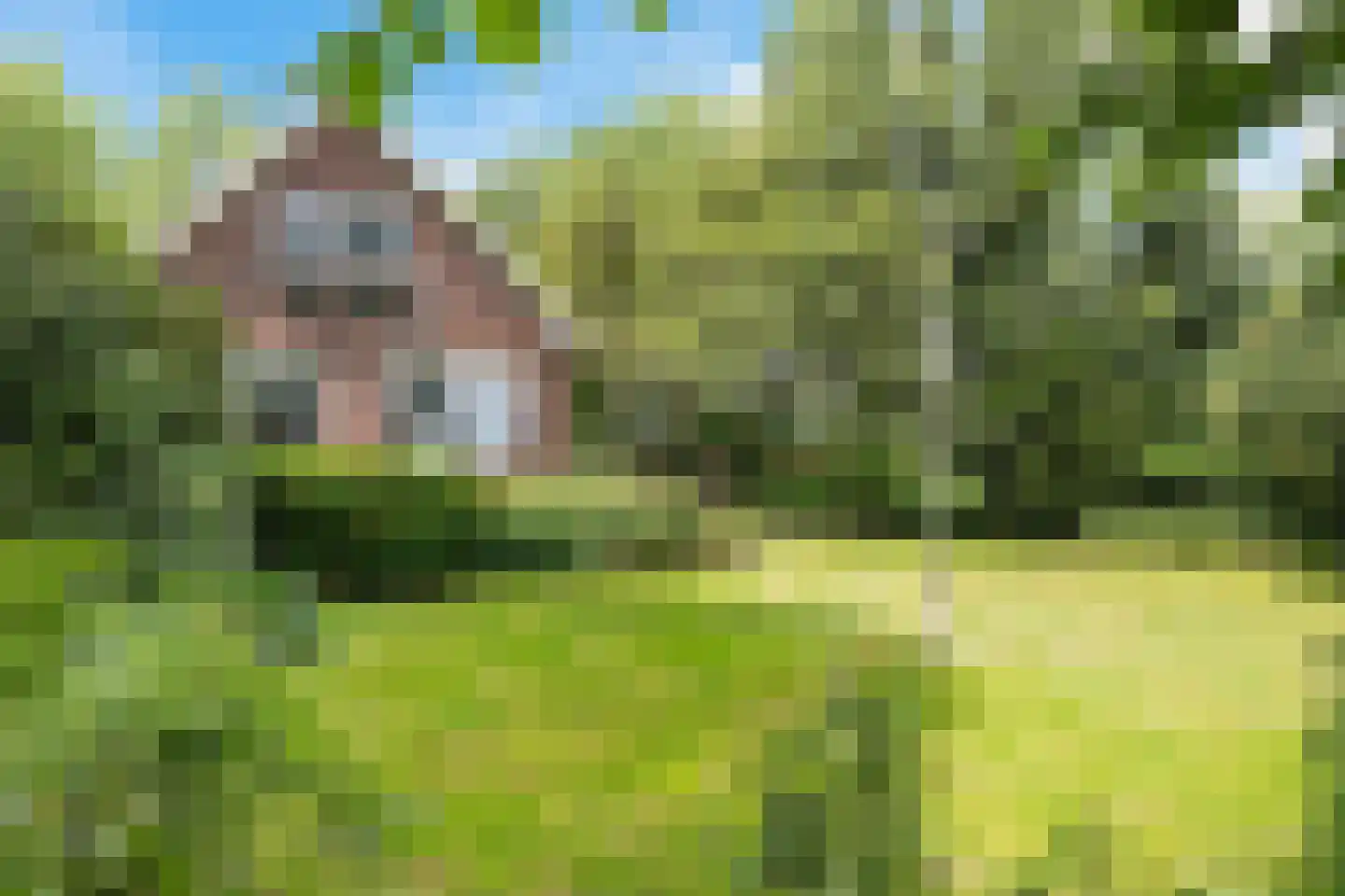 Joh Poststraat 14 Nieuwlande thumbnail 52