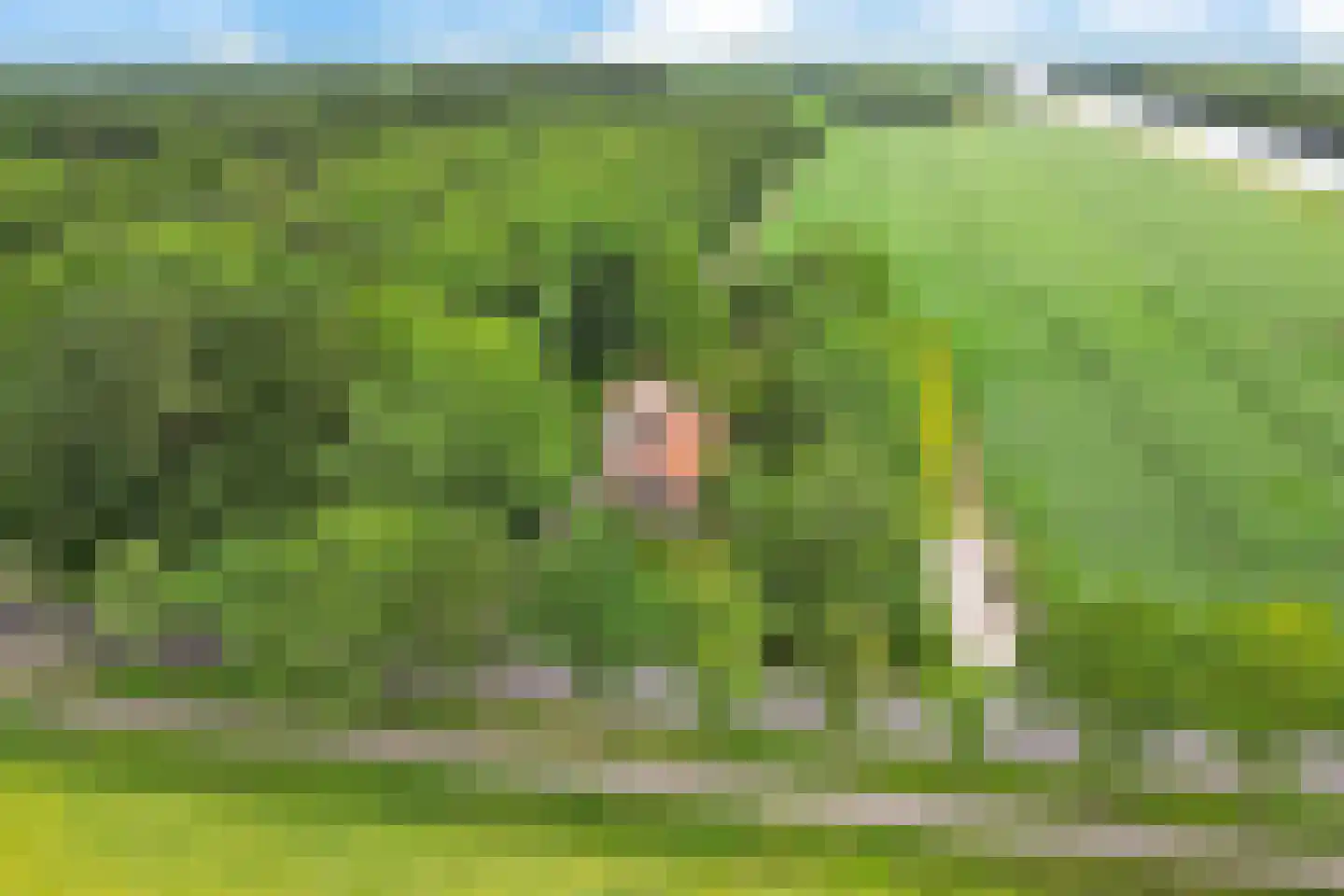 Joh Poststraat 14 Nieuwlande thumbnail 53