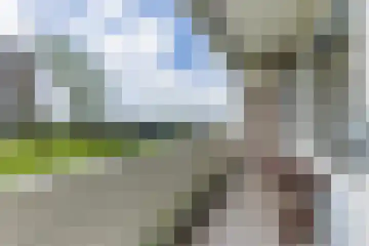 Joh. Poststraat 7 Breukelen thumbnail 27
