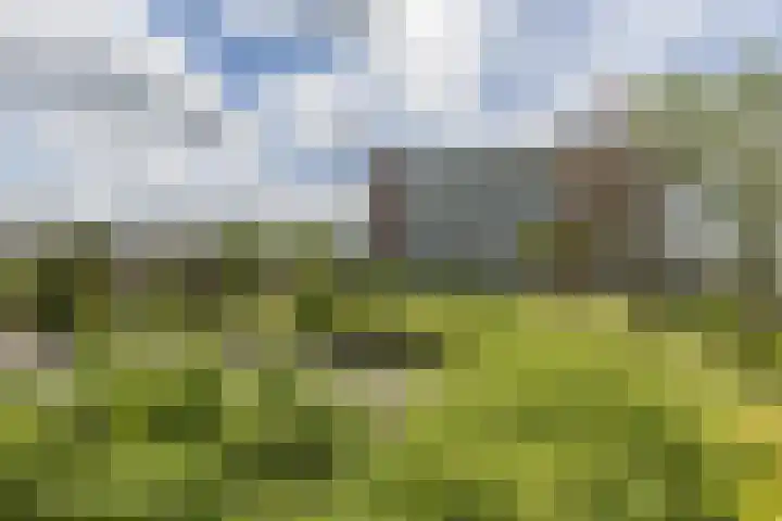Joh. Poststraat 7 Breukelen thumbnail 4