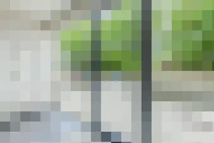 Joh. Poststraat 7 Breukelen thumbnail 5