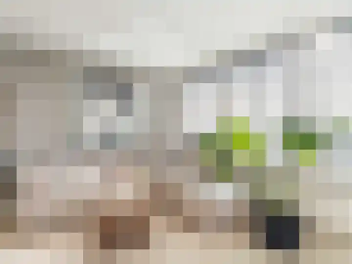 Joh. Poststraat 71 Breukelen thumbnail 10