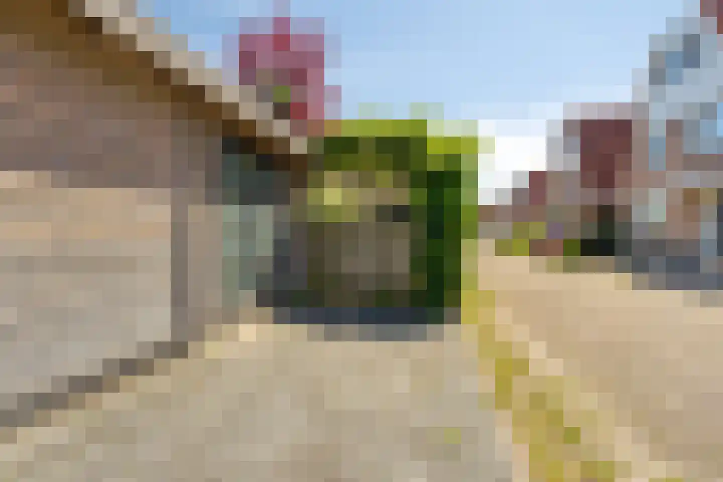 Joh. Sepershof 25 Oude Wetering thumbnail 19