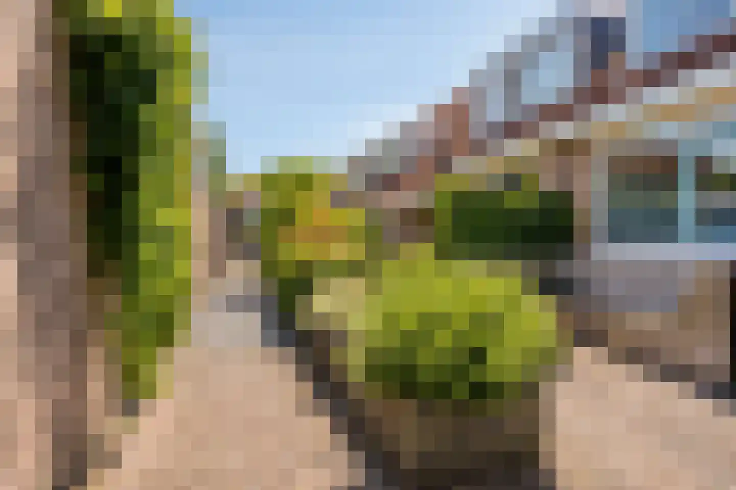 Joh. Sepershof 25 Oude Wetering thumbnail 23