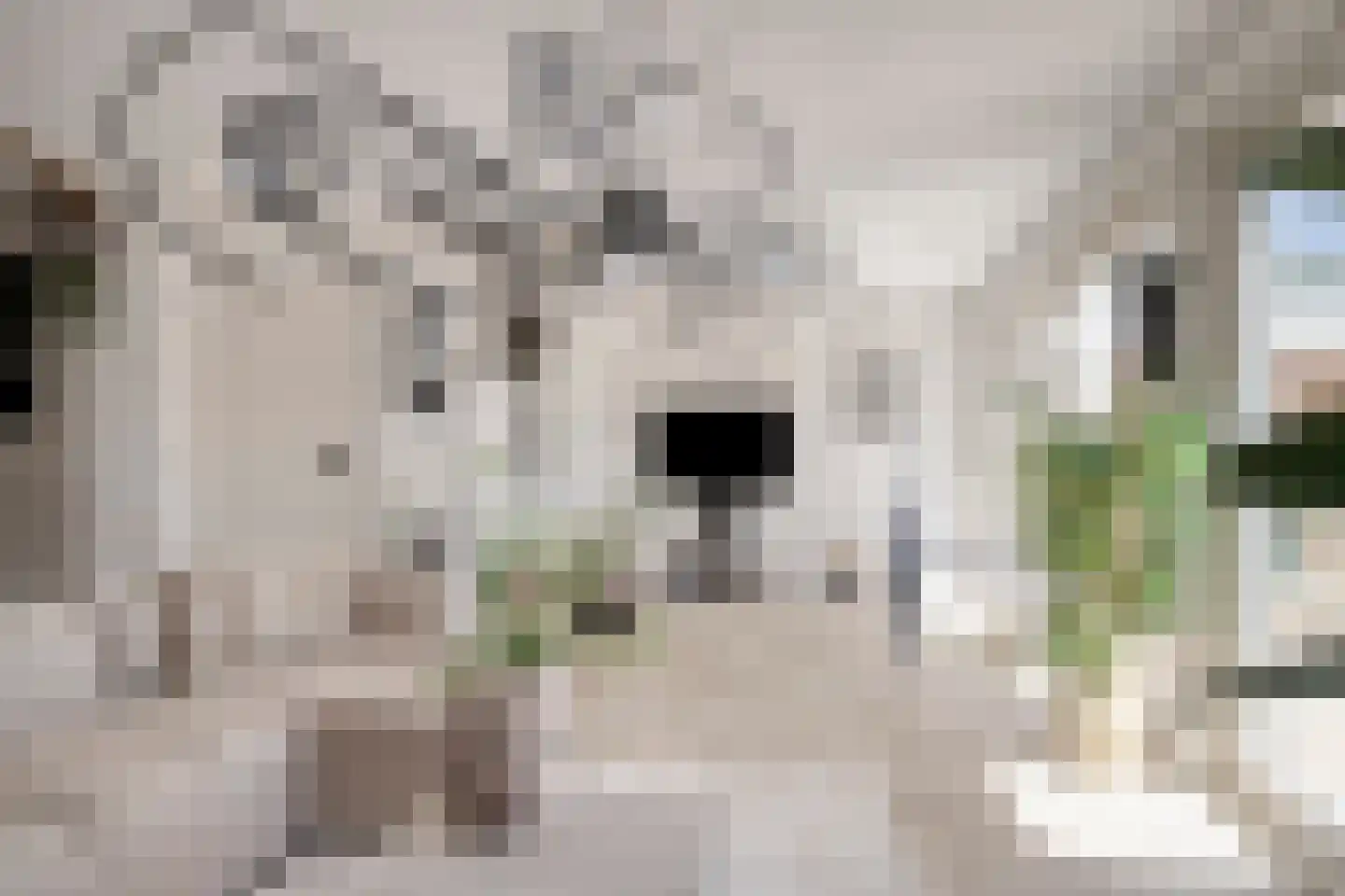 Johan Abersonstraat 50 Purmerend thumbnail 10