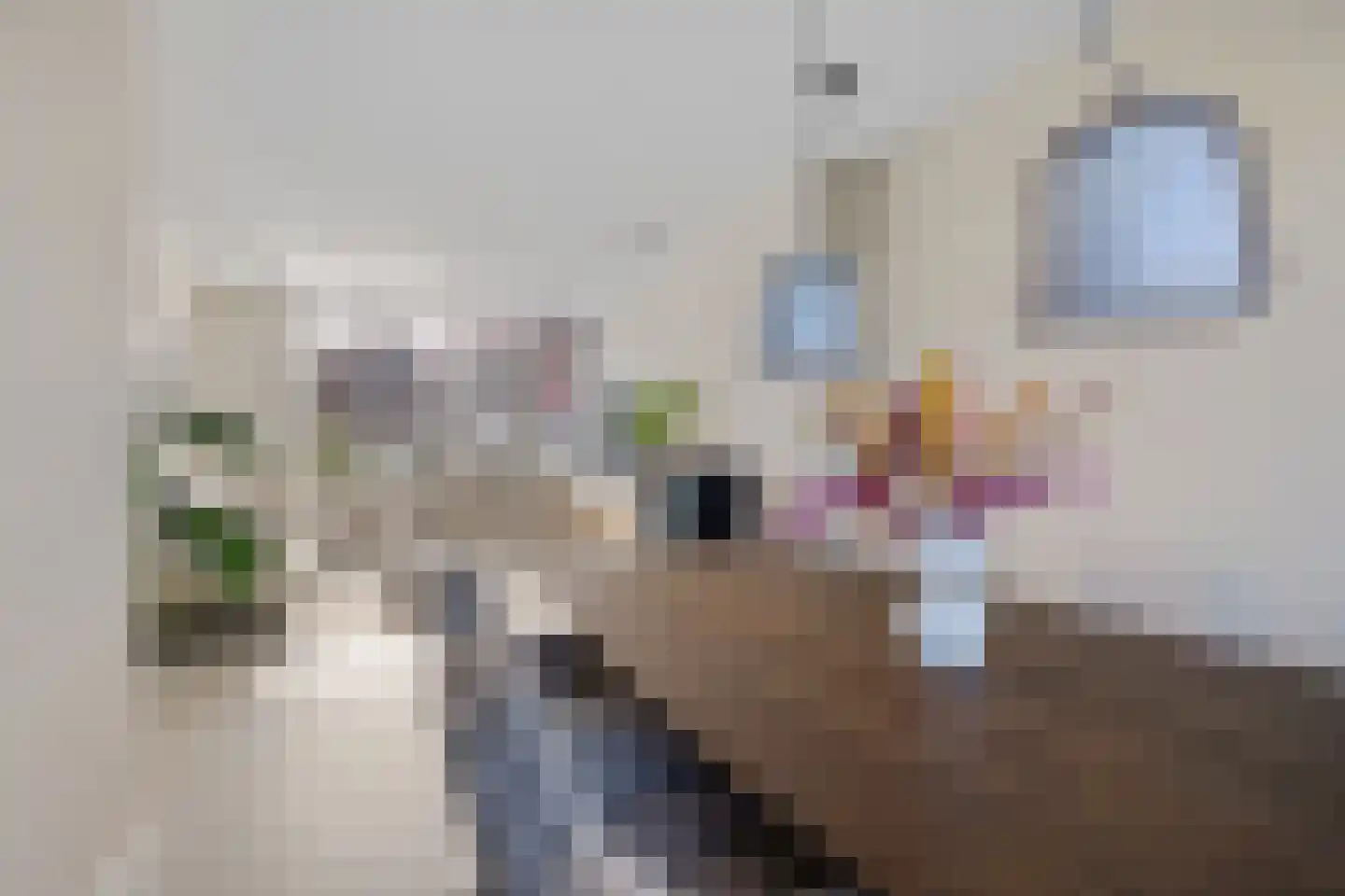 Johan Bongastraat 8 Sneek thumbnail 10