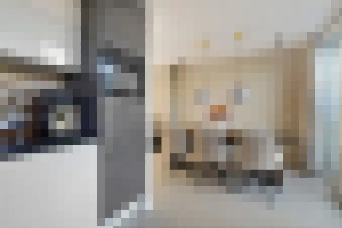 Johan Bongastraat 8 Sneek thumbnail 14