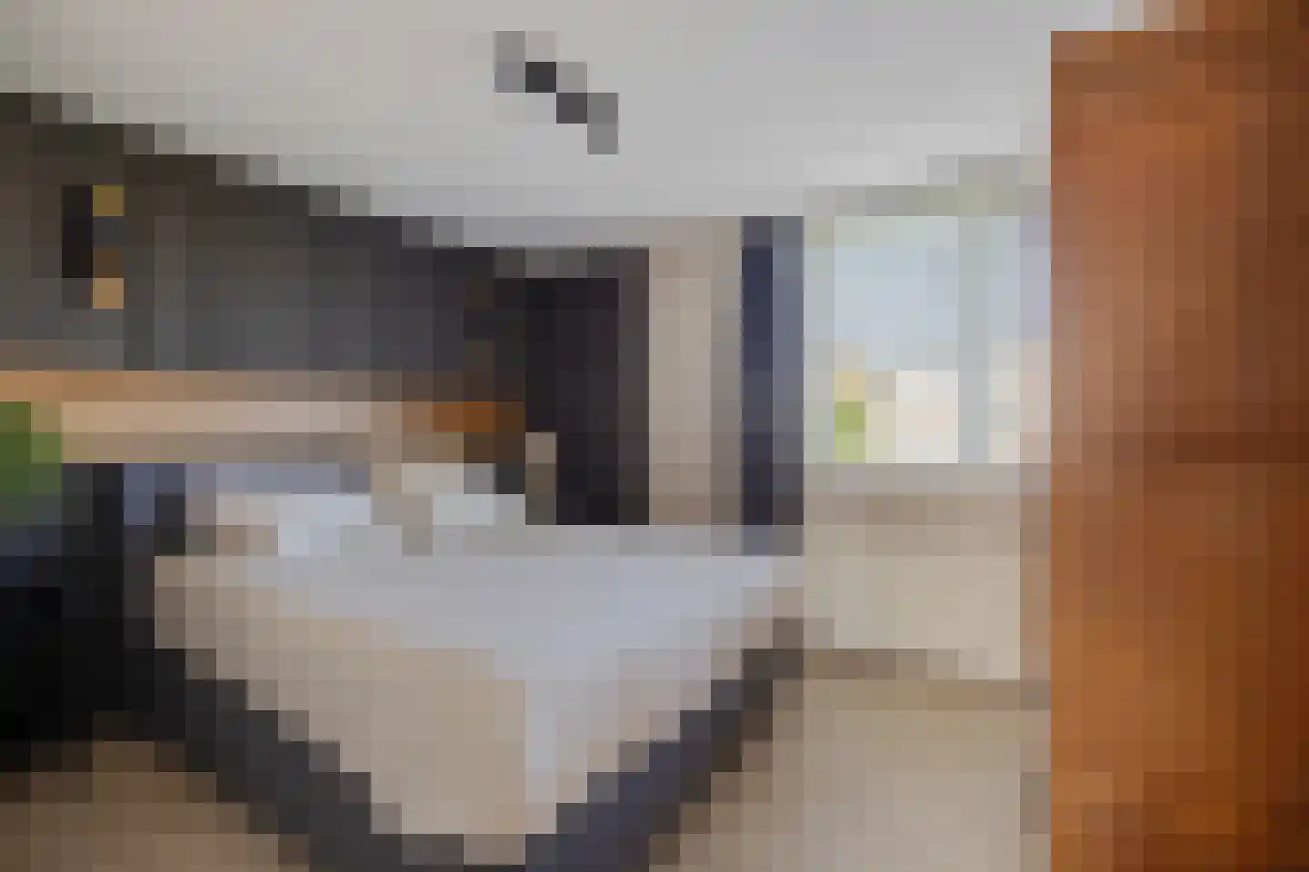 Johan Bongastraat 8 Sneek thumbnail 23