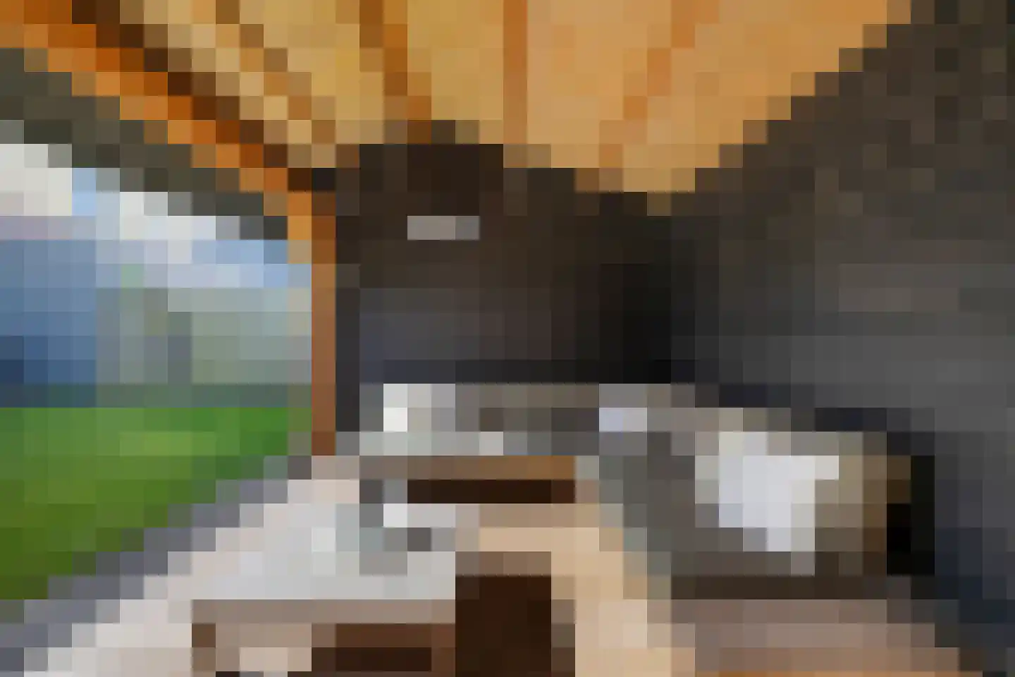 Johan Bongastraat 8 Sneek thumbnail 32