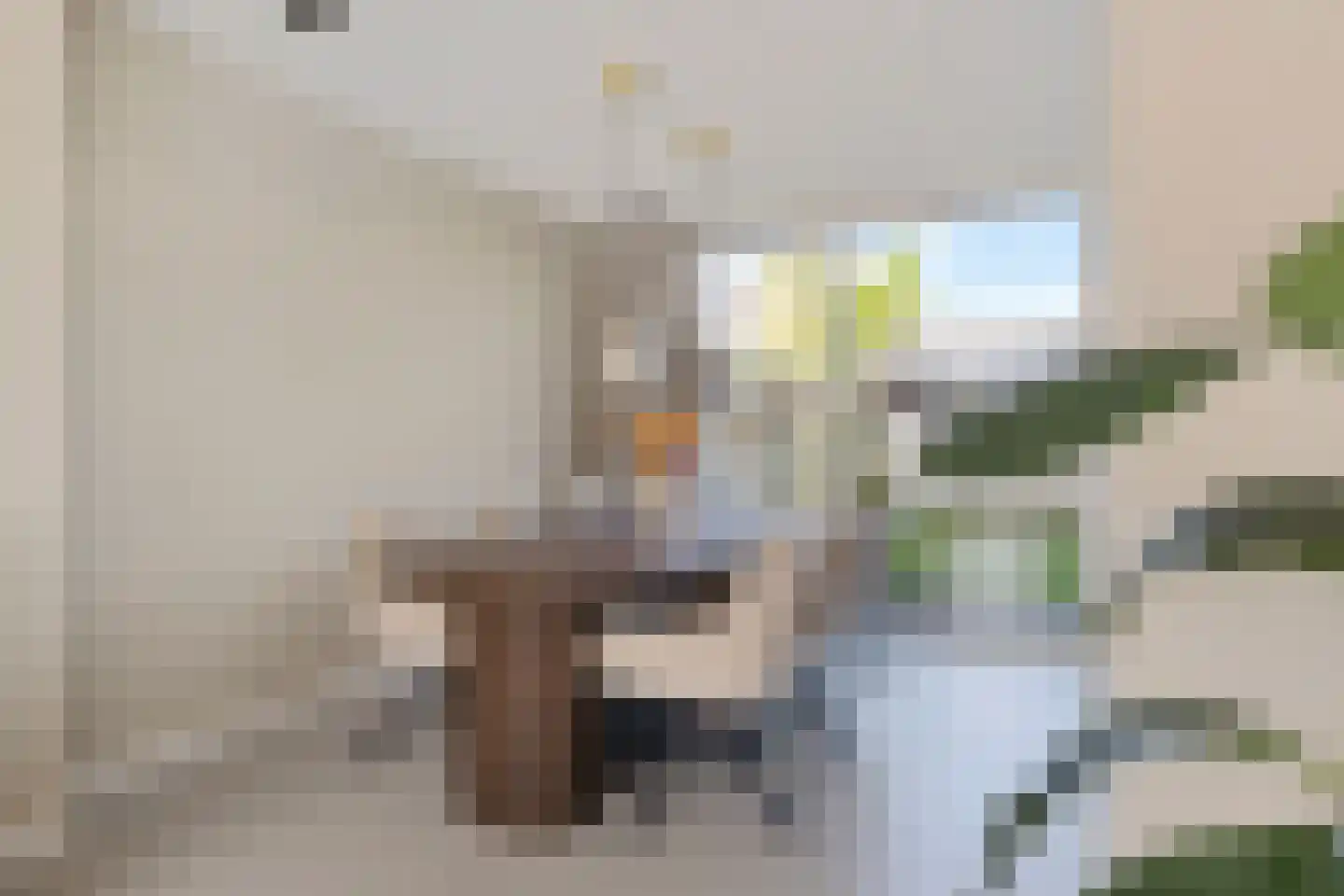 Johan Bongastraat 8 Sneek thumbnail 8