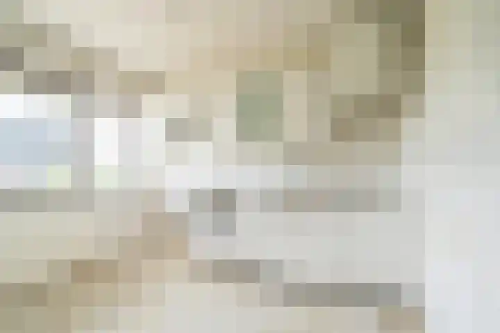 Johan Braakensiekstraat 101 Schiedam thumbnail 8