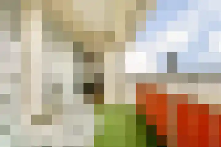 Johan Braakensiekstraat 131 Schiedam thumbnail 16