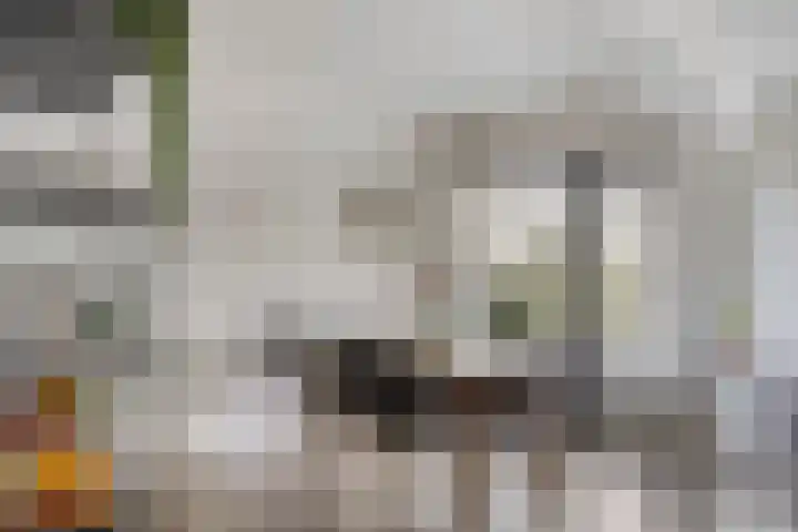 Johan Braakensiekstraat 29 Schiedam thumbnail 7