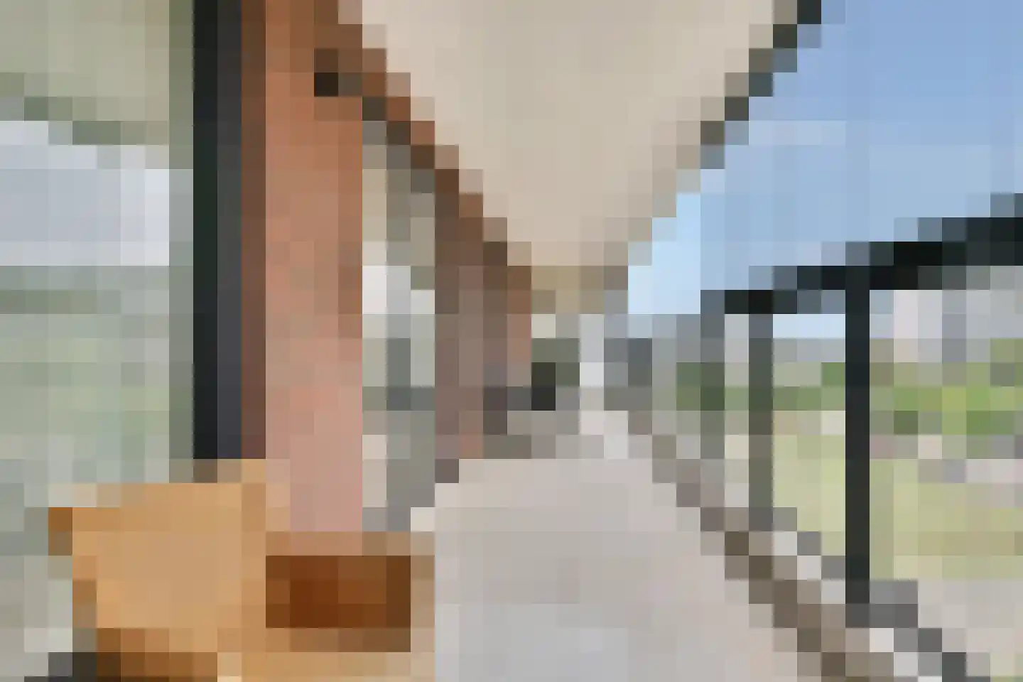 Johan Braakensiekstraat 50 Schiedam thumbnail 12