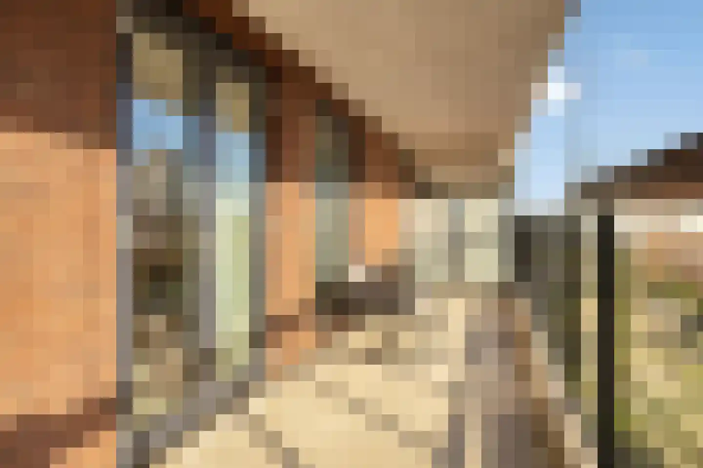 Johan Braakensiekstraat 50 Schiedam thumbnail 5
