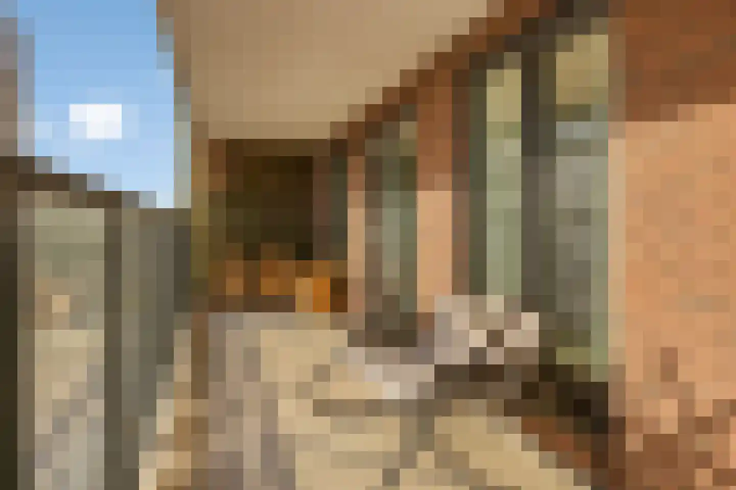 Johan Braakensiekstraat 50 Schiedam thumbnail 6