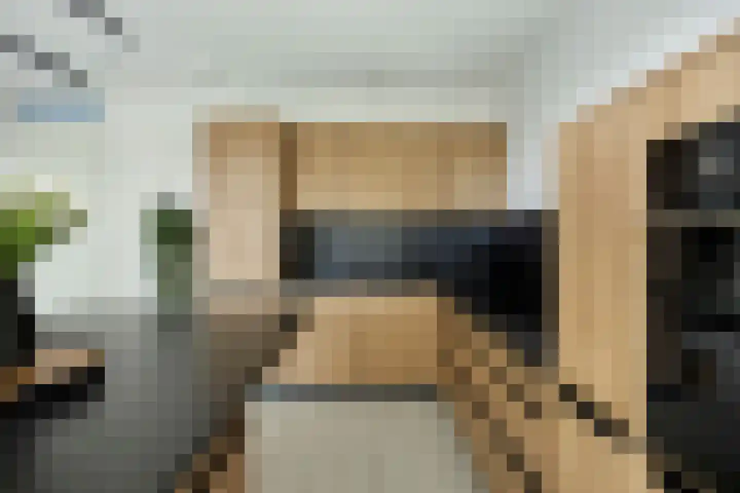 Johan Braakensiekstraat 50 Schiedam thumbnail 8