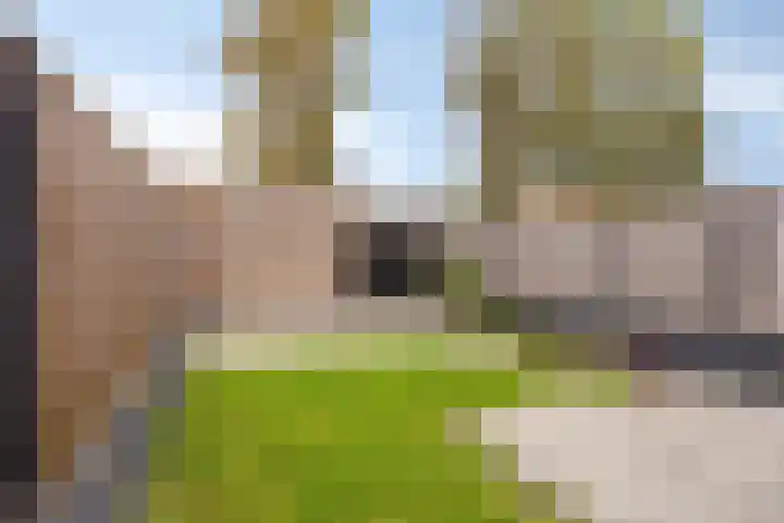 Johan Braakensiekstraat 96 Schiedam thumbnail 30