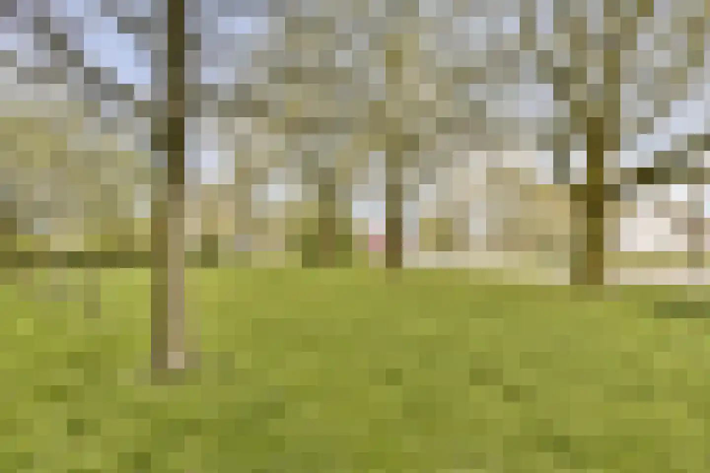 Johan Braakensiekstraat 98 Schiedam thumbnail 27