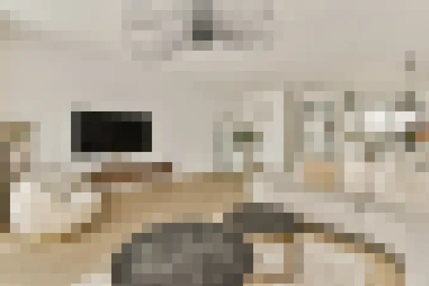Johan Braakensiekstraat 98 Schiedam thumbnail 5