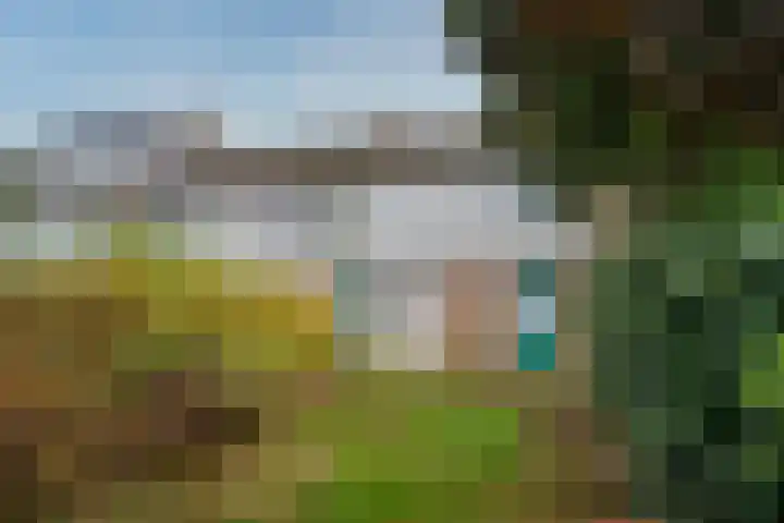 Johan Brouwerstraat 112 Best thumbnail 19