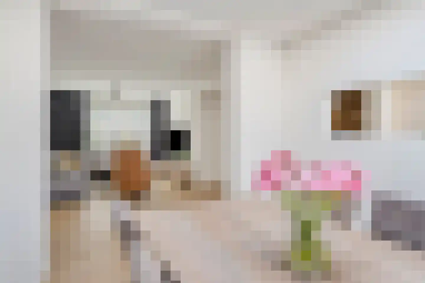 Johan Brouwerstraat 30 Best thumbnail 18