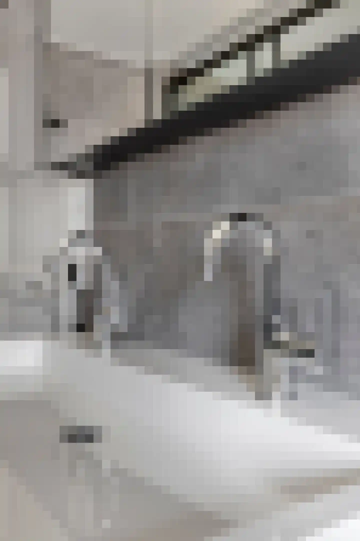 Johan Brouwerstraat 30 Best thumbnail 30