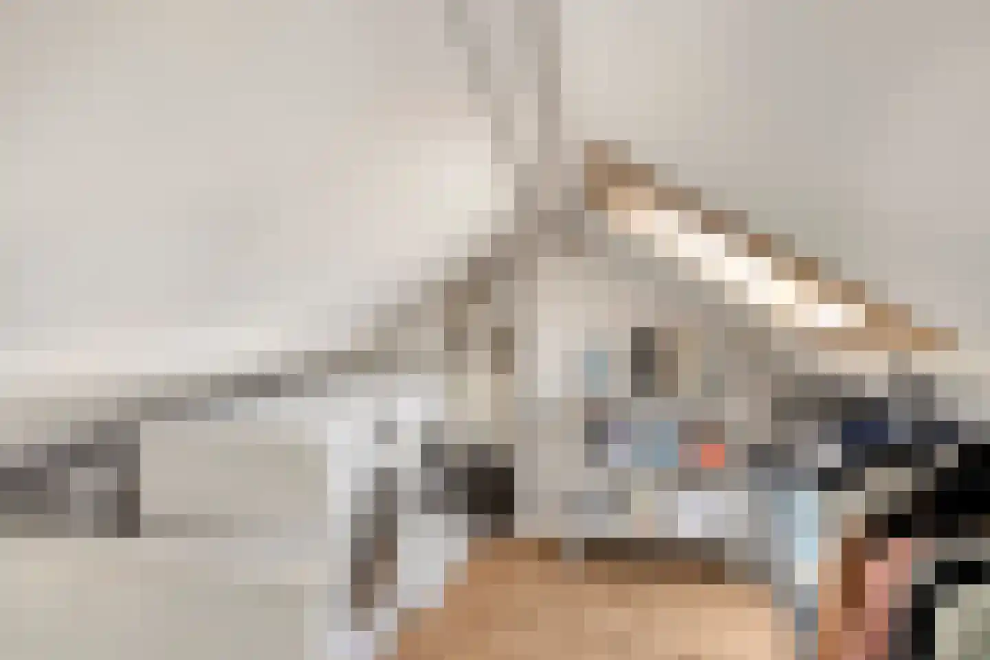Johan Brouwerstraat 30 Best thumbnail 33