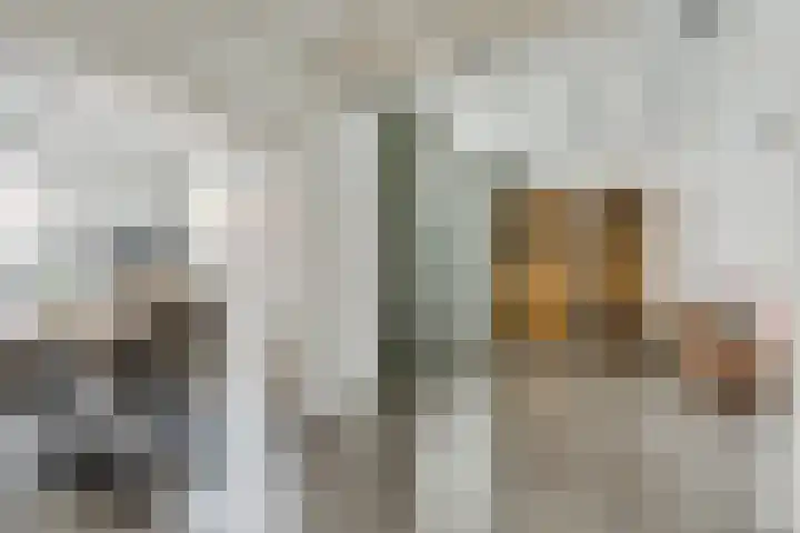 Johan Brouwerstraat 32 Best thumbnail 15