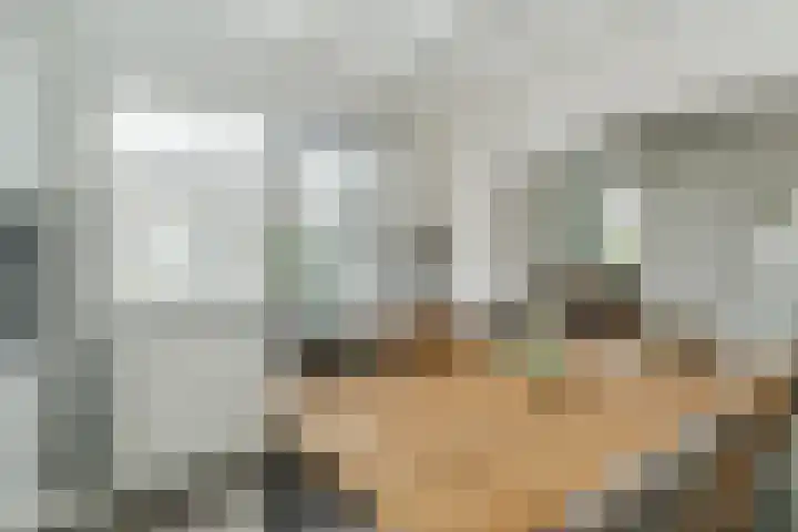 Johan Brouwerstraat 32 Best thumbnail 17