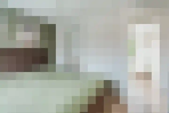 Johan Brouwerstraat 32 Best thumbnail 22