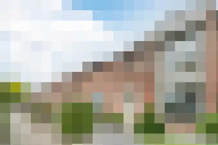 Johan Brouwerstraat 32 Best thumbnail 36