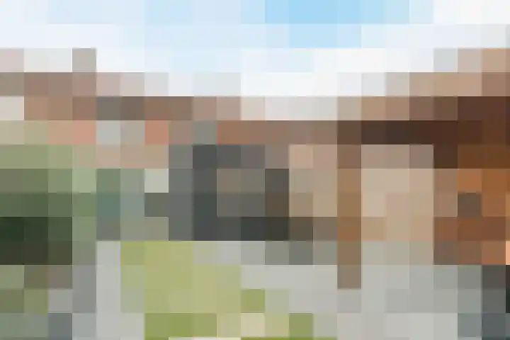 Johan Brouwerstraat 32 Best thumbnail 6