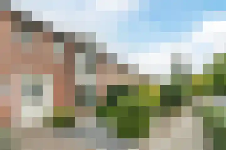 Johan Brouwerstraat 32 Best thumbnail 7