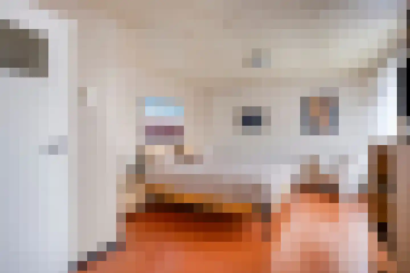 Johan Brouwerstraat 78 Best thumbnail 21