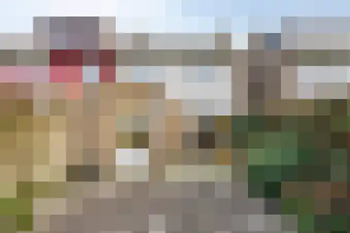Johan Brouwerstraat 78 Best thumbnail 34