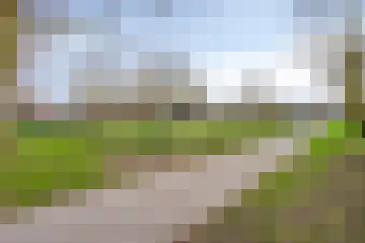 Johan Brouwerstraat 78 Best thumbnail 39